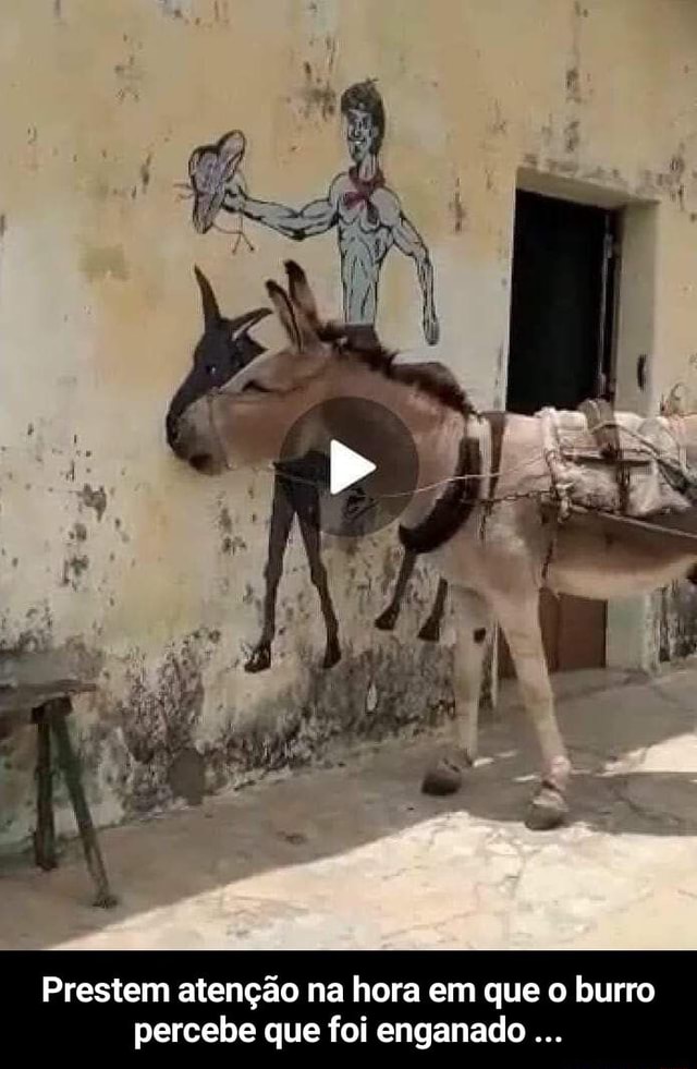 De Prestem Atenção Na Hora Em Que O Burro Percebe Que Foi Enganado Prestem Atenção Na Hora Em 0574