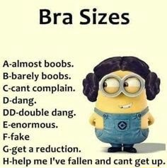 BRA Sizes - almost boobs B - barely boobs - can't complain D - dang DD -  double dang IE 