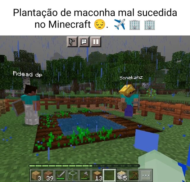 Plantação de maconha mal sucedida no Minecraft O. X IN bi MD dp