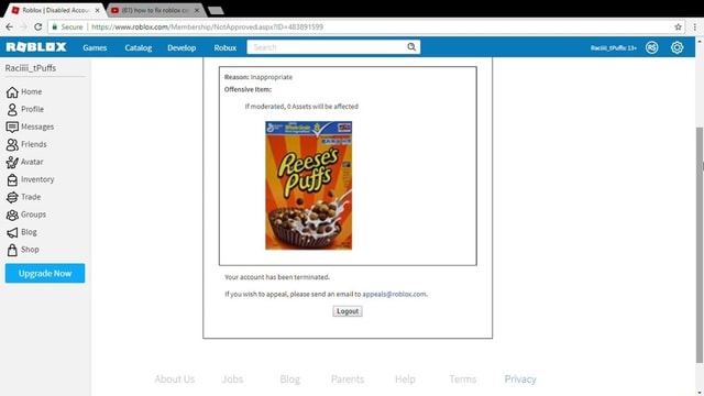 Account deleted our content monitors have determined that your behavior at  roblox has been in violation of our terms of service Revevied PM moderator  note do not create accounts just for the