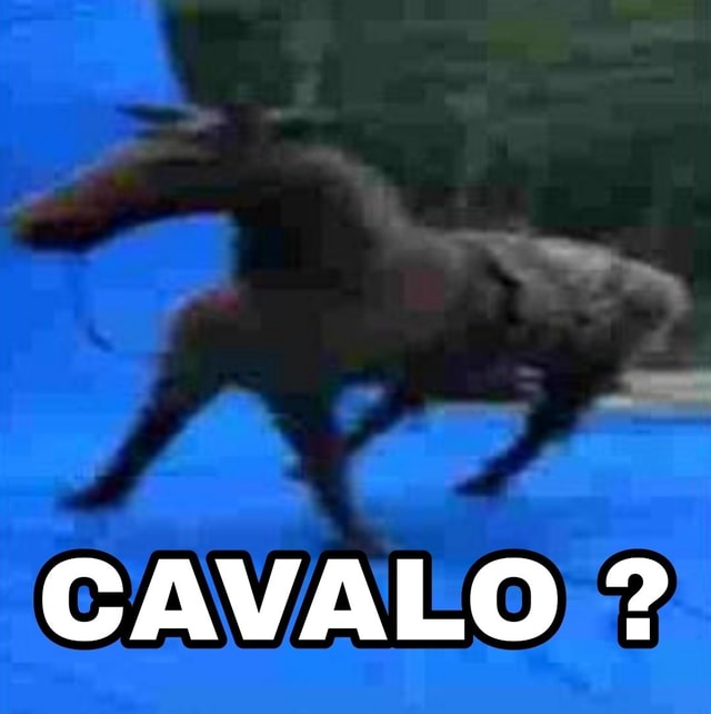 CBLOL - cavalo kkk aql meme