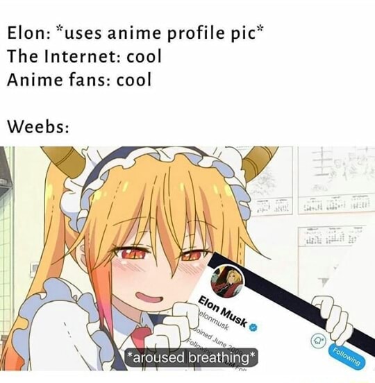 Elon: *uses anime profile pic* The Internet: cool Anime fans: coo