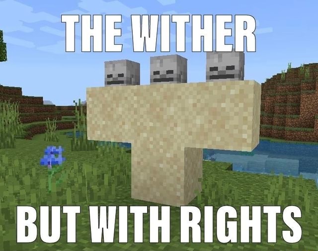 I designated the wither in minecraft : r/Minecraft