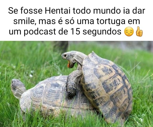 Se fosse hentai, todos dariam smile, mas é só meu desenho de fino senhores  & A I / ih ) > DA - iFunny Brazil