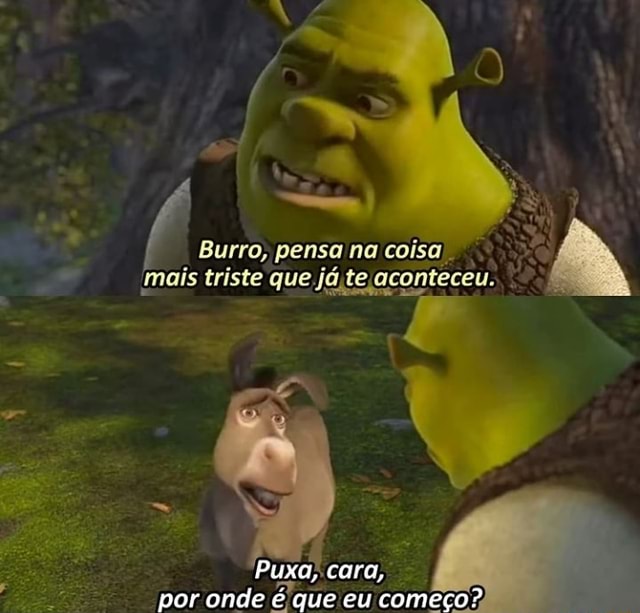 Confere produção? 😂, Se ainda existia alguma dúvida sobre, depois desse  ano não tem MAIS! 😂 Essas e outras verdades do Burro você encontra agora  em #Shrek, disponível no, By Paramount+