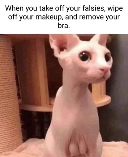 When you take off your falsies, wipe off your makeup, and remove your bra -  iFunny Brazil