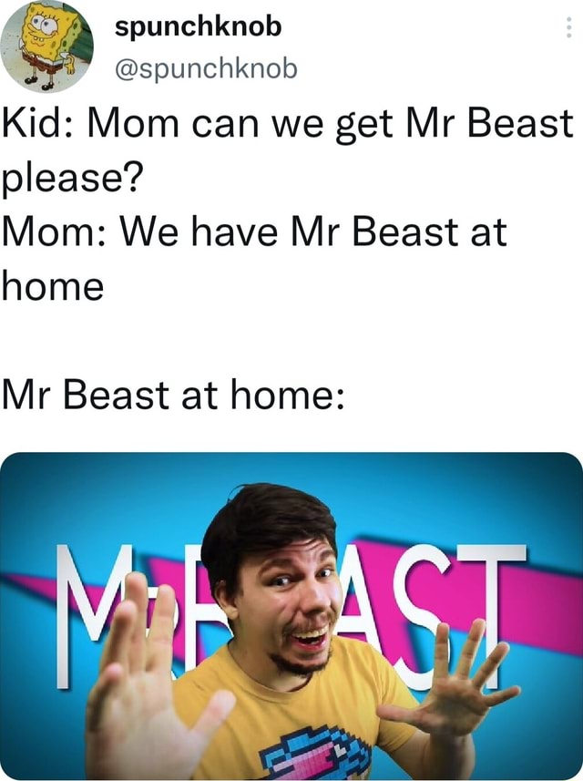 Spunchknob @spunchknob Kid: Mom can we get Mr Beast please? Mom: We have Mr  Beast at home Mr Beast at home: - iFunny Brazil