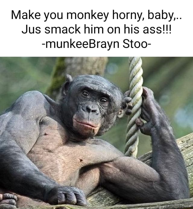 Tat Ass Steey ' monkey meme - iFunny Brazil