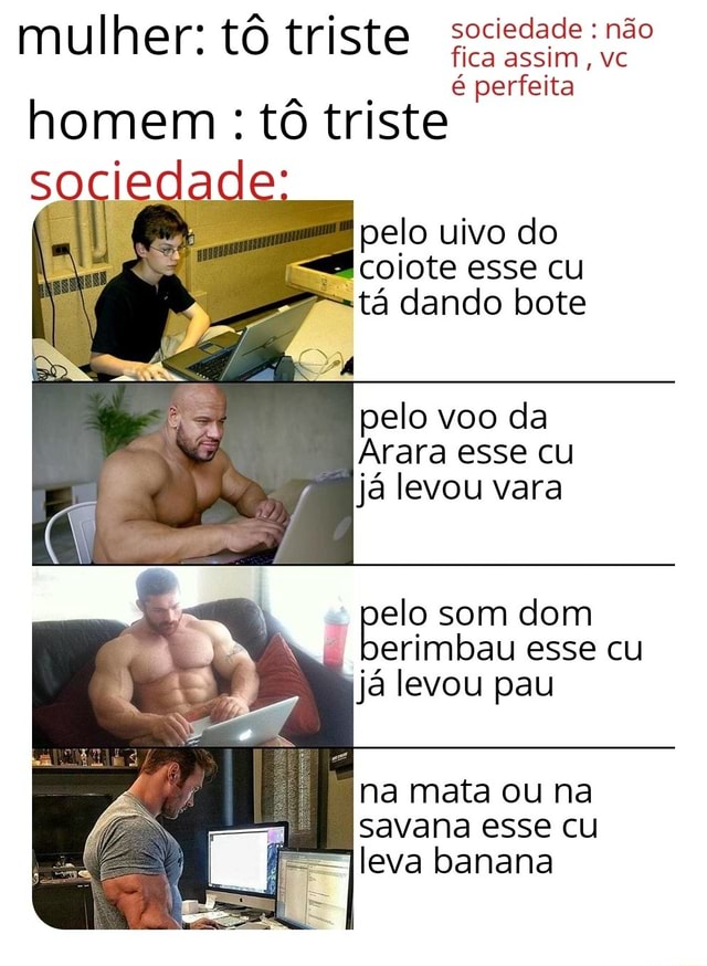 Memes acessíveis - Descrição: Quando alguém me oferece cerveja e eu  recuso Abaixo, uma senhora, em pé, coloca a mão na testa do Pica-Pau  deitado na cama: Só pode tá doente! #MemesAcessíveis