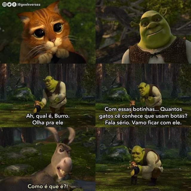 Gato con botas gatos shrek GIF - Find on GIFER