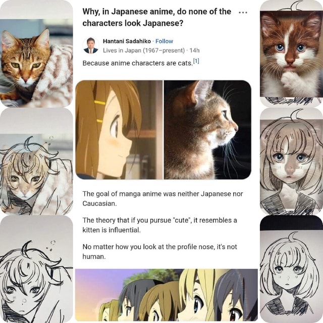 Animes with cats as characters - Forums - MyAnimeList.net