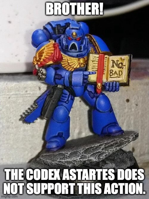 BROTHER! THE CODEX ASTARTES DOES NOT SUPPORT THIS ACTION. - iFunny Brazil