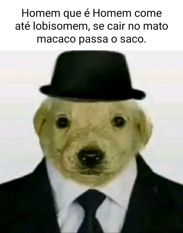 O macaco me lembrou de todos os loss da vida : r/farialimabets