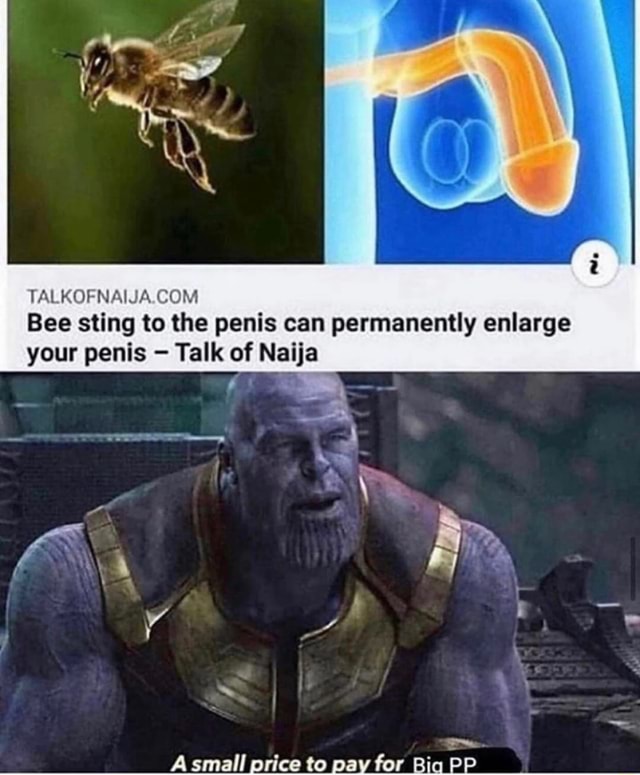 TALKOFNAIJA.COM Bee sting to the penis can permanently enlarge