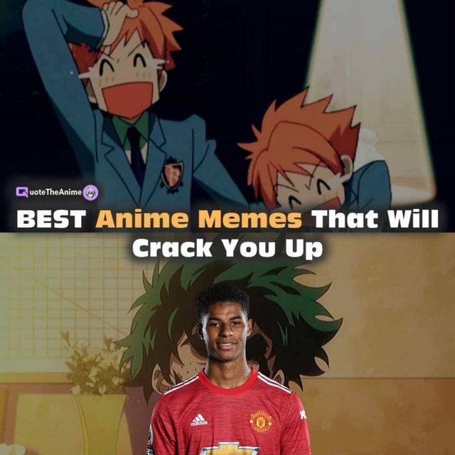 107+ BEST Anime Memes!, Quote The Anime that will crack you up!