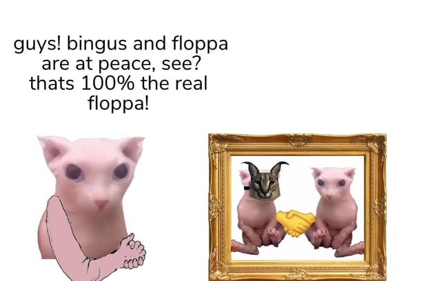 Which do you guys like more? bingus or floppa, personally I more