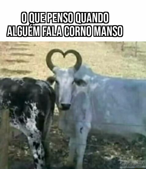 Corno manso - Meme subido por LucasGuIBr :) Memedroid🍚 Experimente o ...