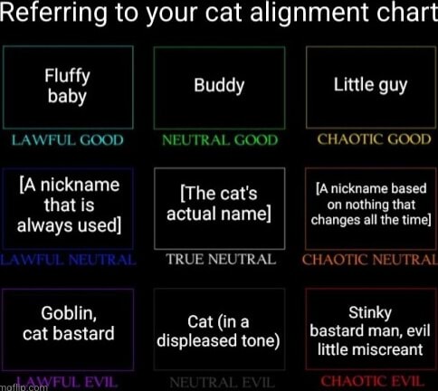 Referring to your cat alignment chart Fluffy baby LAWFUL GOOD [A