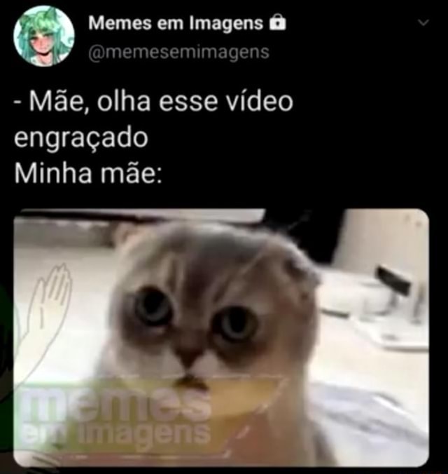 Memes em Imagens (Qmemesemimagens - Mãe, olha esse vídeo engraçado Minha  mãe: - iFunny Brazil