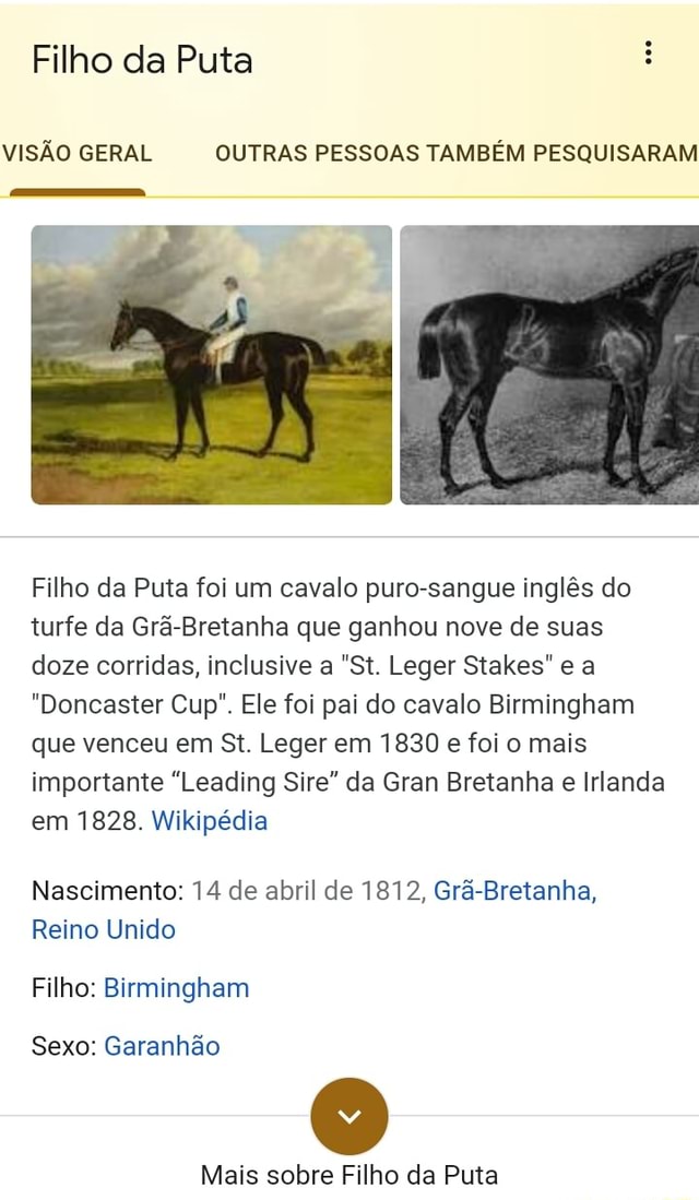 Visão  Era uma vez um cavalo de corrida chamado Filho da Puta