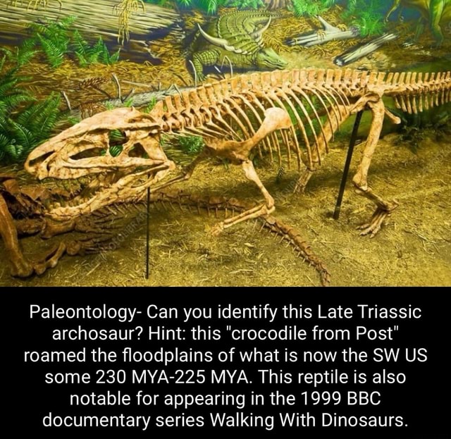 We Paleontology- Can You Identify This Late Triassic Archosaur? Hint ...