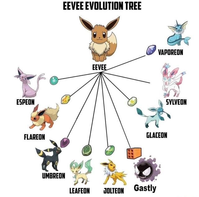 Pokemon Vaporeon Eevee - EEVEE EVOLUTION TREE - iFunny Brazil