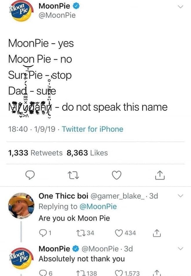 moonpie-moonpie-moonpie-yes-moon-pie-no-surgpie-stop-dad-sue-do-not-speak-this-name