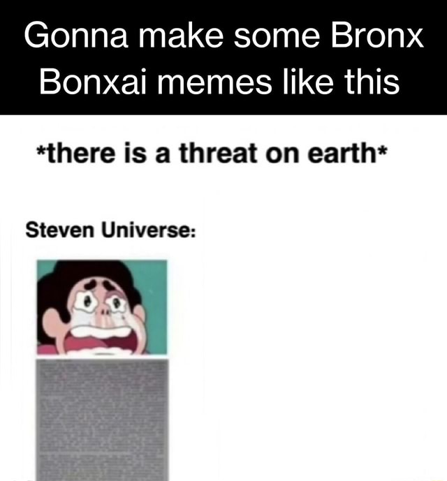 Gonna make some Bronx Bonxai memes like this *there is a threat on ...