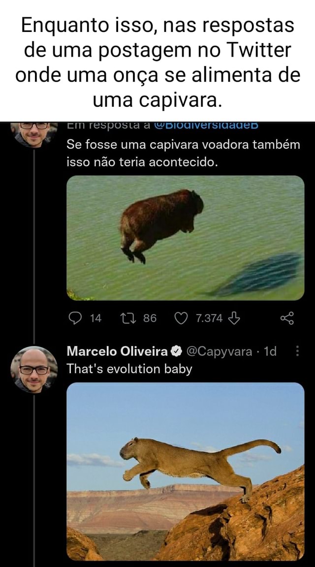 SE O NOME DESSA CAPIVARA FOSSE O ULTIMO MEME QUE VC VIU. COMO ELA SE  CHAMARIA? - iFunny Brazil