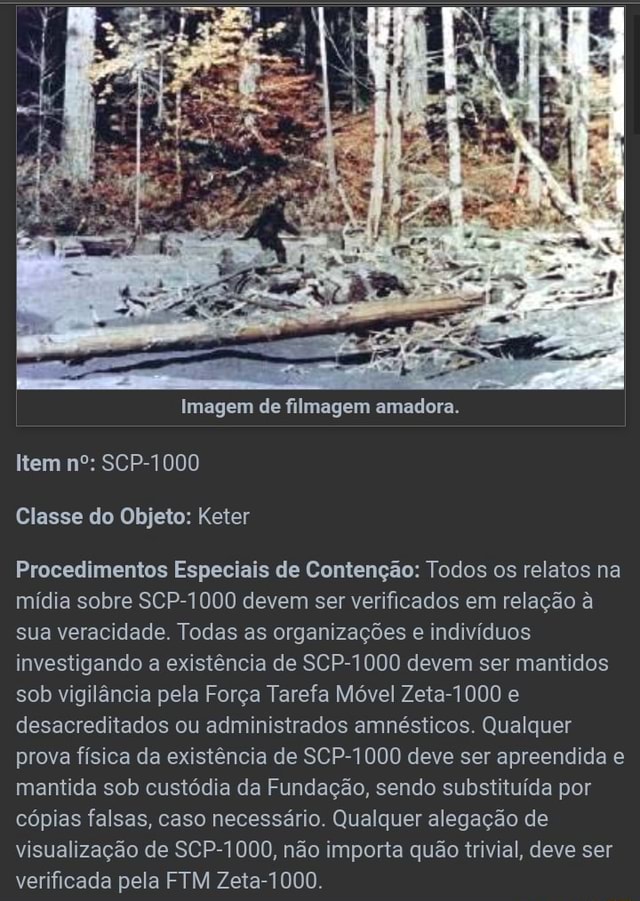 Imagem de filmagem amadora. em nº: SCP-1000 Classe do Objeto