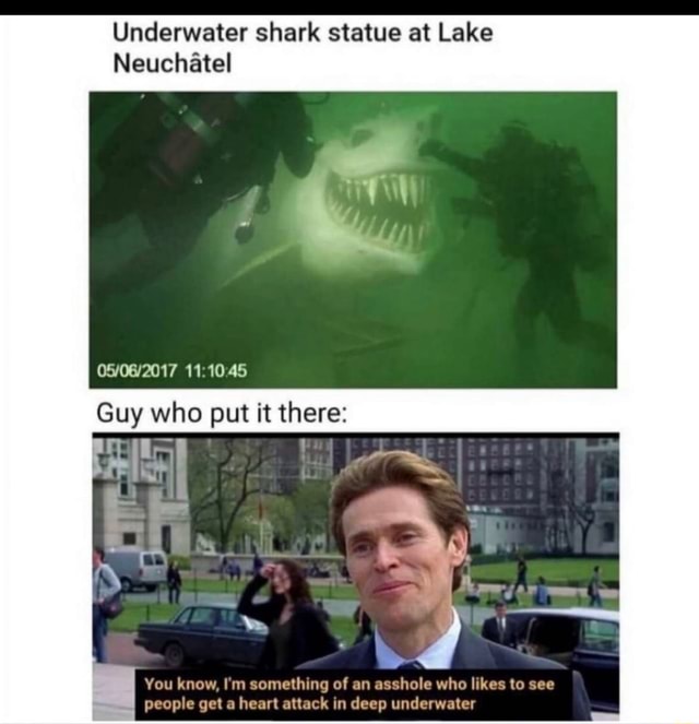 Underwater shark statue at Lake Neuchatel 45 Guy who put It there You