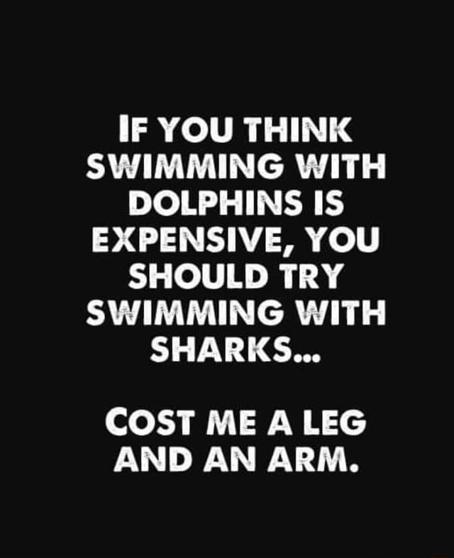 If You Think Swimming With Dolphins Is Expensive, You Should Try 