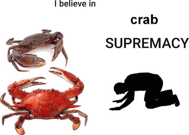 I believe in crab SUPREMACY - iFunny Brazil