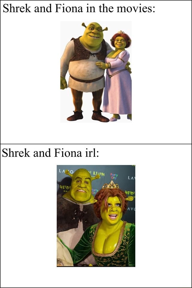 Shrek and Fiona  Explain a film plot badly, Shrek memes, Famous