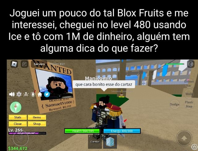 Joguei um pouco do tal Blox Fruits e me interessei, cheguei no level 480  usando Ice e tô com de dinheiro, alguém tem alguma dica do que fazer?  Servels Flash Step 