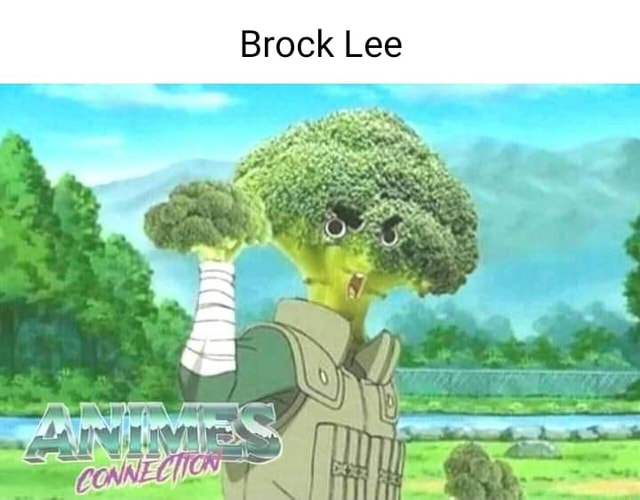 SS Brock Lee - iFunny Brazil