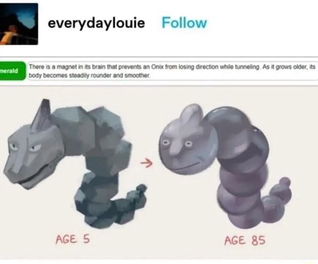 Everydaylouie Follow There is magnet in its brain that prevents an Onix  from losing direction while tunneling. As it grows older, its body becomes  steadily rounder and smoother AGE S AGE BS 