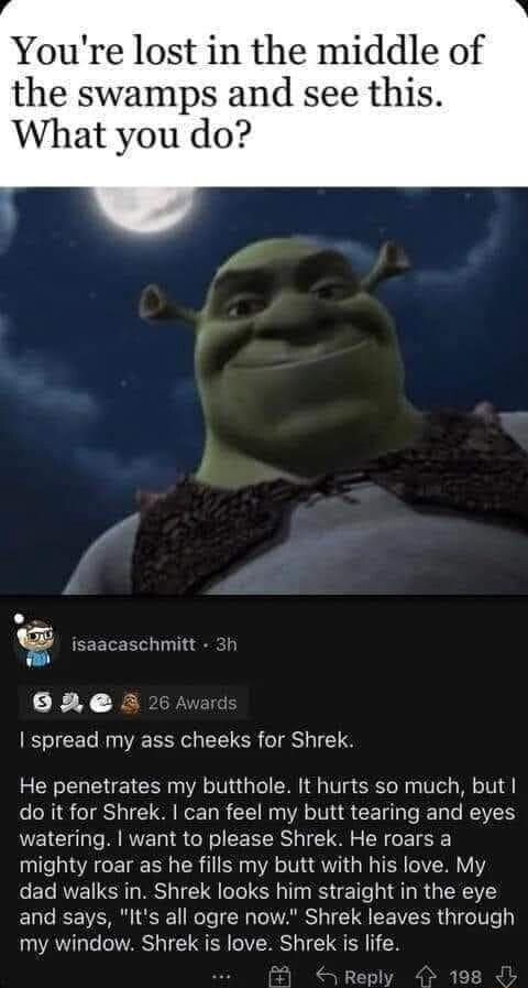 I PAUSED SHREK AND FOUND A NEW MEME - iFunny Brazil