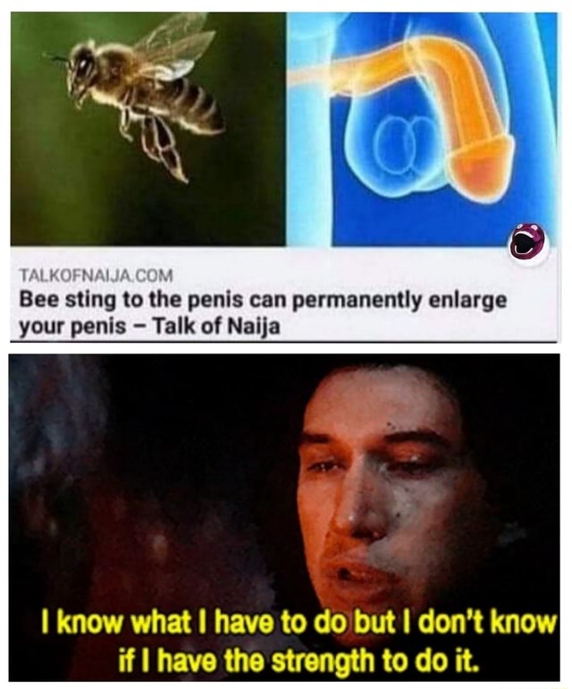 TALKOFNAIJA Bee sting to the penis can permanently enlarge your