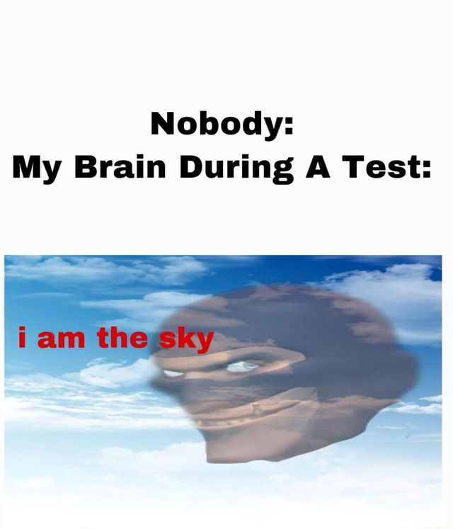 Test My Brain