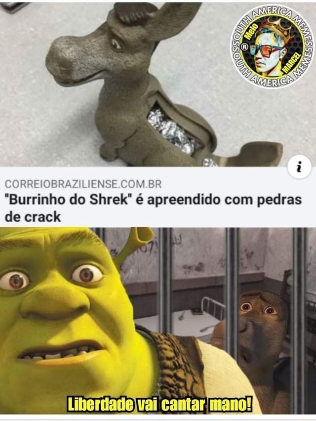 Tio Shrek humilde pra carai, sera palavras O burro ta drogado, só pode I as  TA - iFunny Brazil