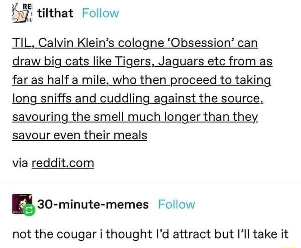 Titthat Follow TIL, Calvin Klein's cologne 'Obsession' can draw