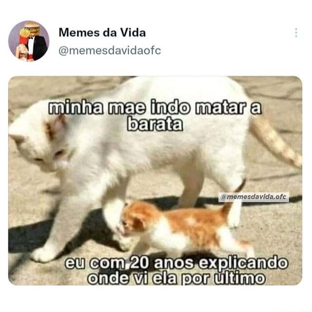 Como matar uma barata! - Meme by DanielMaldonado :) Memedroid