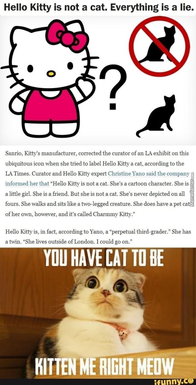 Hello Kitty isn't a cat, but is anything really anything anymore, man?