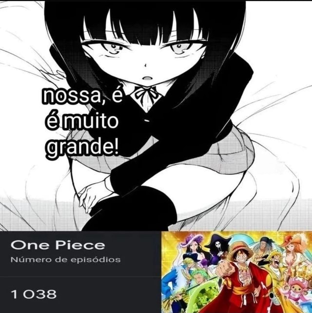 One Piece PT/BR 