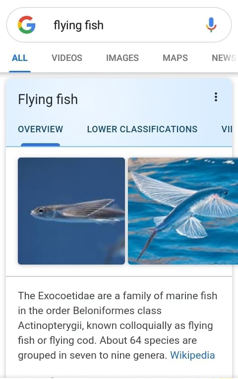 Actinopterygii - Wikipedia