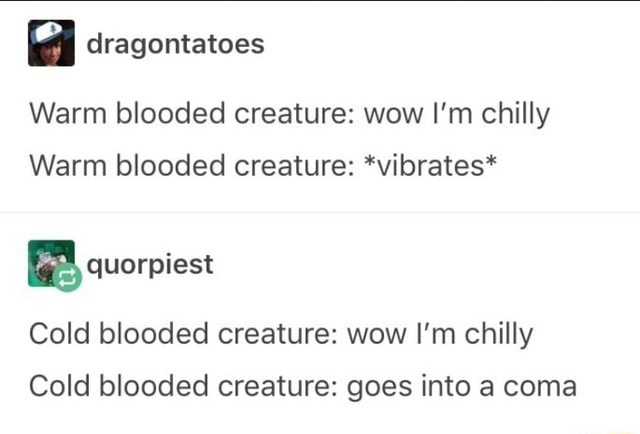 Dragontatoes Warm blooded creature: wow I'm chilly Warm blooded