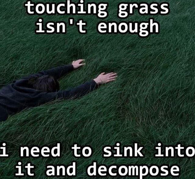 Touching Grass Is Not Enough