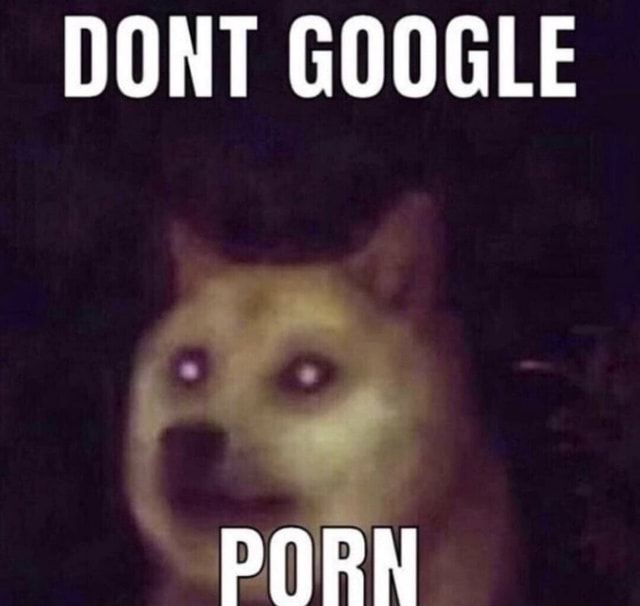 Doge Meme Porn - DONT GOOGLE PORN - iFunny Brazil