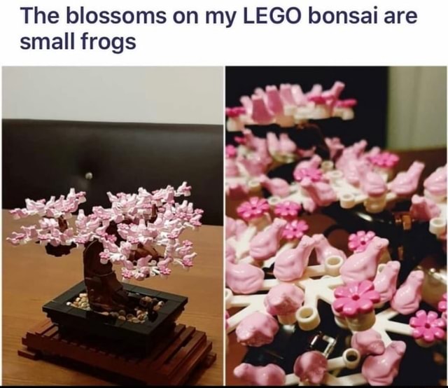 The blossoms on this LEGO bonsai tree are tiny LEGO frogs. :  r/mildlyinteresting